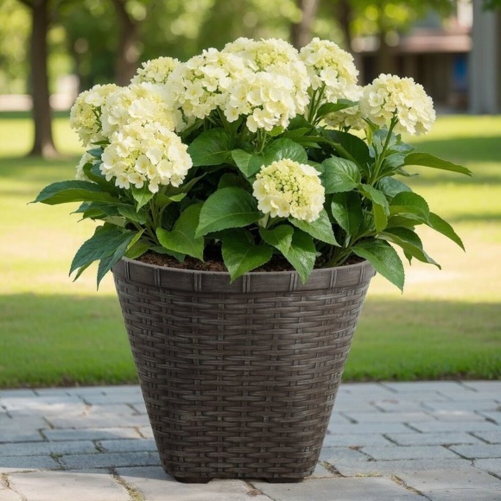 My Texas House 16" Ainsley Woven Planter, Dark Brown Resin Basket